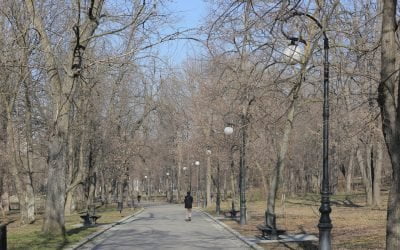 Milioane de euro, fonduri europene, îngropate de Primăria Craiova în modernizarea Parcului „Nicolae Romanescu”