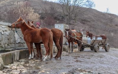 Reportaj din satele din Constanța în care n-a intrat niciun ban european. „Triunghiul sărăciei” și primarul perpetuu în funcție din 1989