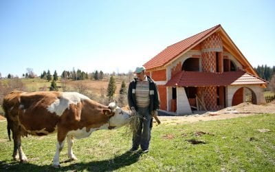 Fonduri europene și la coada vacii: O comună din Cluj a câștigat finanțări de 3,6 milioane de euro prin PNDR