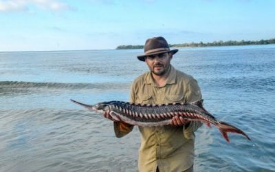 În căutarea sturionului Lucky: O călătorie de 2 milioane de euro pentru salvarea speciei