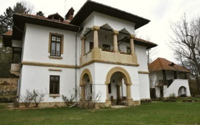 Despre Vila Golescu sau cum poate fi salvată o clădire de patrimoniu prin implicare civică – PressHub