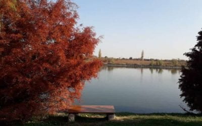 Chitila, oraș satelit al Bucureștiului, aspirator de fonduri europene