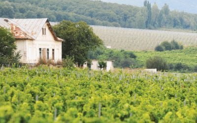 Conacul lui Duiliu Zamfirescu de la Vârteșcoiu moare încet, dar sigur – PressHub