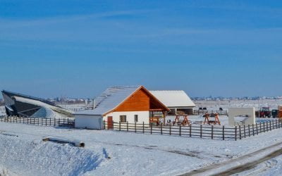 Care este legătura dintre o fermă de bivoli, arhitectură futuristă și excursii virtuale? O cooperare România – Ungaria, pe un proiect finanțat de UE