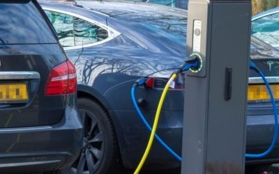 Oradea, oraș verde. După campanii de plantare și piste de biciclete, se pregătește rețeaua de încărcare a mașinilor electrice