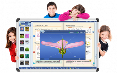 O platformă educațională 3D din Ungaria a intrat pe piața de manuale digitale din România – PressHub