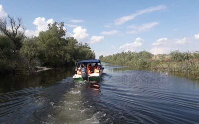 Un proiect european te invită la ”vânătoare de pokemoni” în Delta Dunării