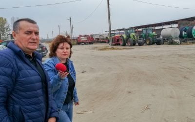 Agricultură performantă cu bani europeni, chiar și în Teleorman. Oportunități și obstacole