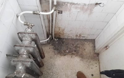 VIDEO Filmări de groază din spitalele din Vrancea aduc fonduri europene pentru „tratamentul” Secției TBC din Spitalul Focșani