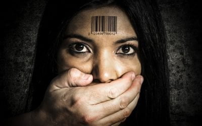 Din Culisele Statului (Ne)Drept – campanie de informare cu privire la traficul de persoane în Diaspora, susținută de PressHub – PressHub